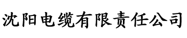 黄色永久视频电缆厂logo